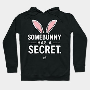 Pregnancy Announcement Somebunny Has A Secret Hoodie